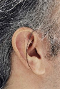 The Senses: Play it by Ear & An Ear for You (sense of sound), image 1 – Tanya Ury