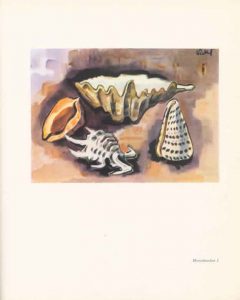 Stick Insect 2003 (short story), image 1 – Tanya Ury