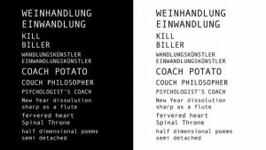 half dimensional poems 2009-2011, image 2 – Tanya Ury