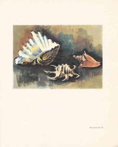 Stick Insect 2003 (short story), image 2 – Tanya Ury