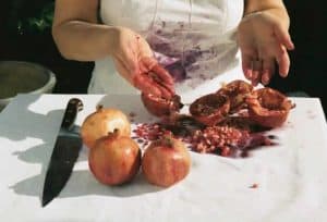 Pomegrenade - Occupying the Territories – Tanya Ury